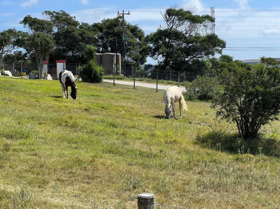 Beautiful Game Park View Holiday home *